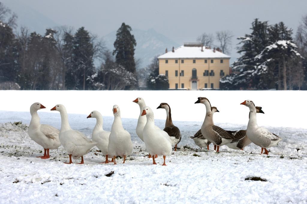 Agriturismo Il Torrione Пинероло Экстерьер фото