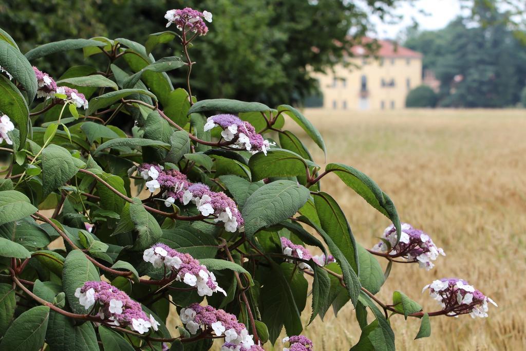 Agriturismo Il Torrione Пинероло Экстерьер фото